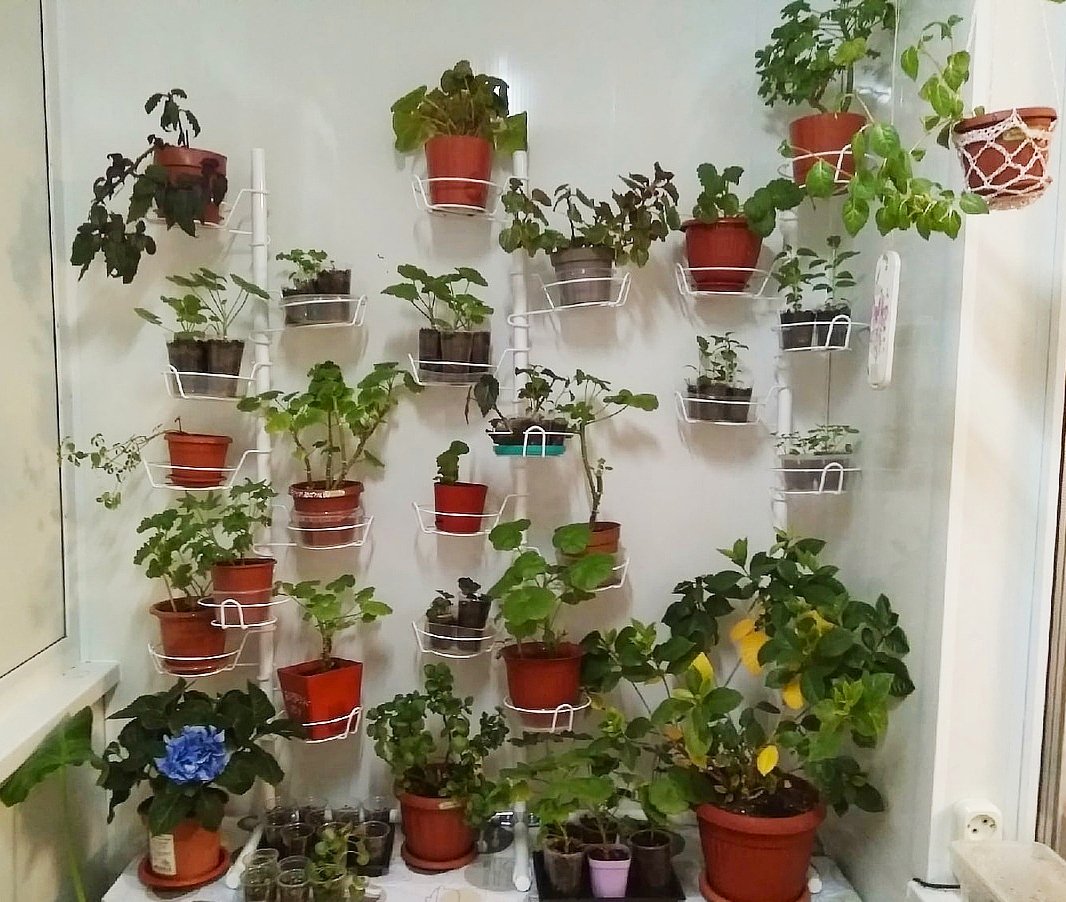 металлическая подставка на окно вместительная. Фото N7